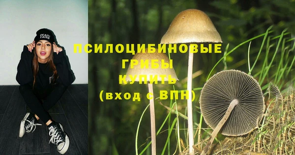 jwh Абаза