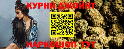 мдпв Камышлов