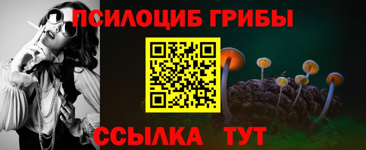 Псилоцибиновые грибы прущие грибы  Вход с VPN  Галлюциногенные грибы Magic Shrooms  где продают   Краснодар 