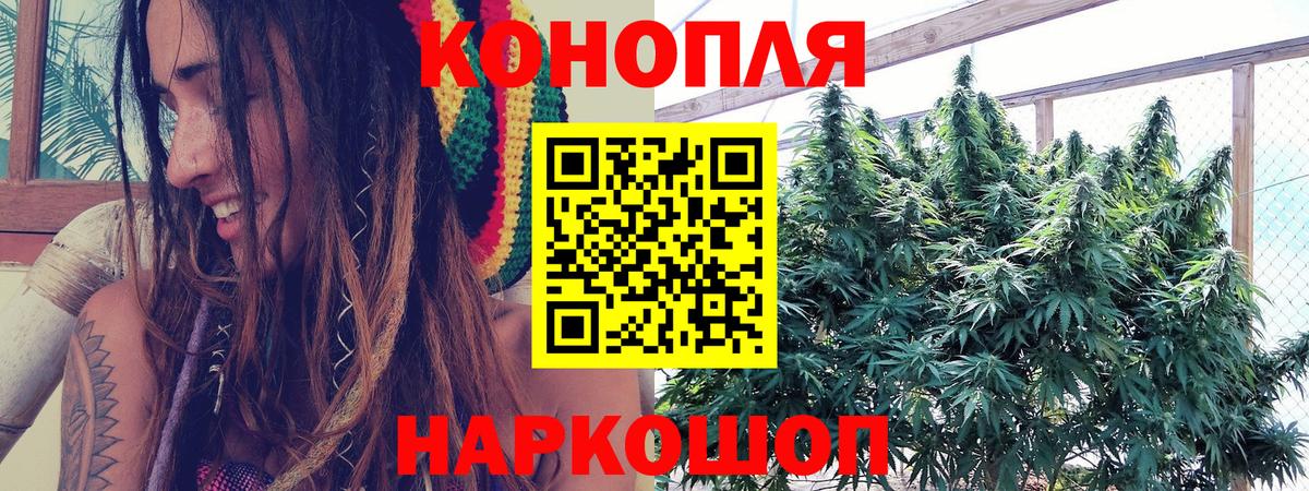 Шишки марихуана конопля Краснодар